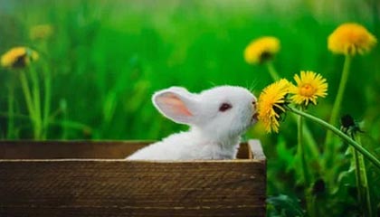 华体会科室-欧足联颁奖：切尔西将帅收获颇丰